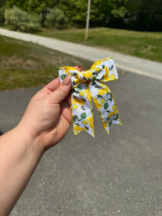 Fruit Ribbon Bows