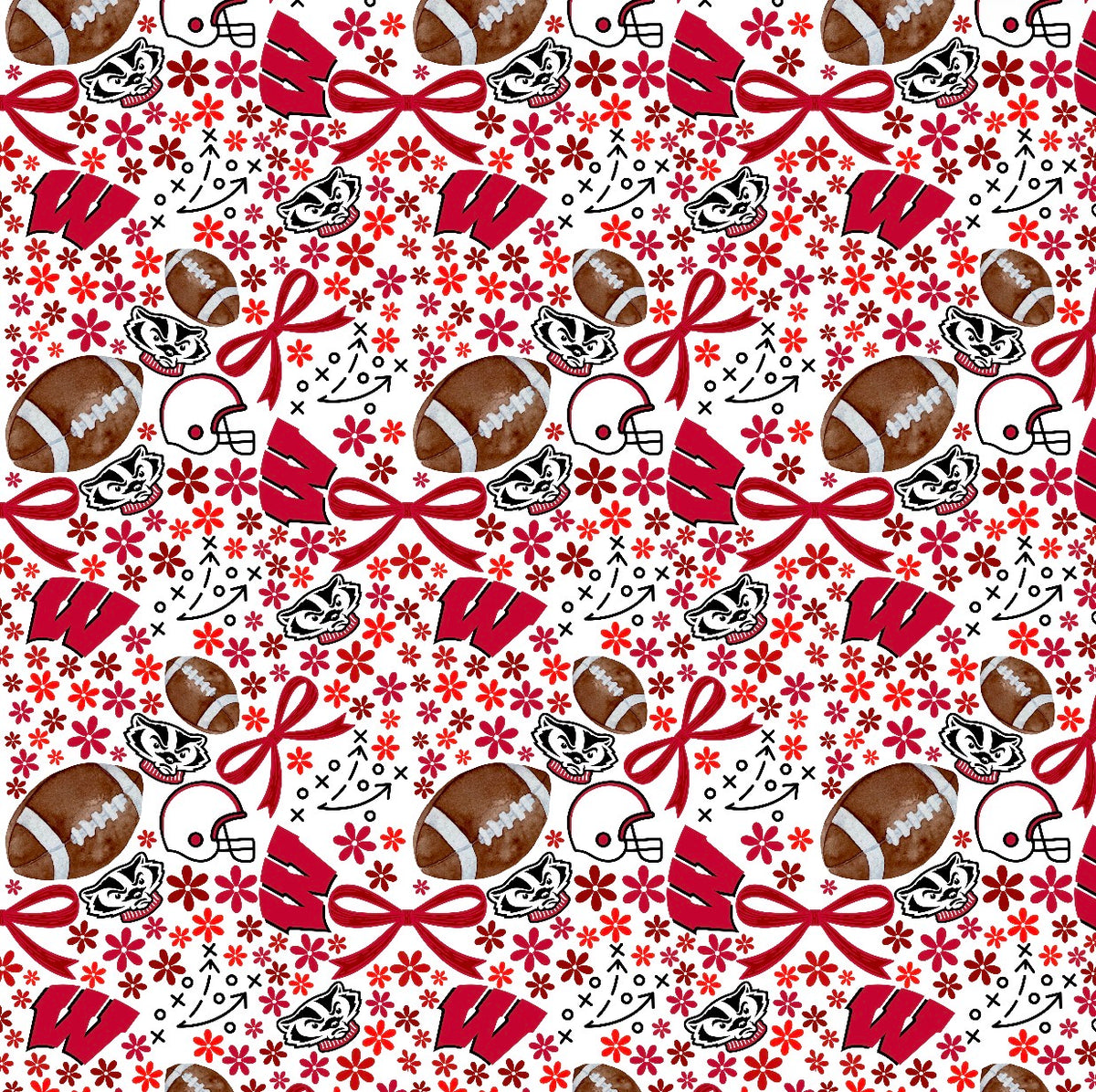 Wisconsin Badgers