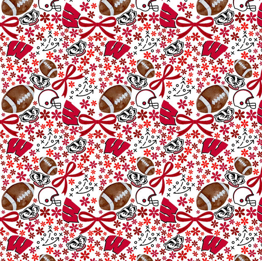 Wisconsin Badgers