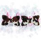 Brown Cow